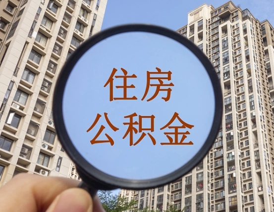 聊城退休后查不到公积金明细了吗（退休后公积金查询不到原因）